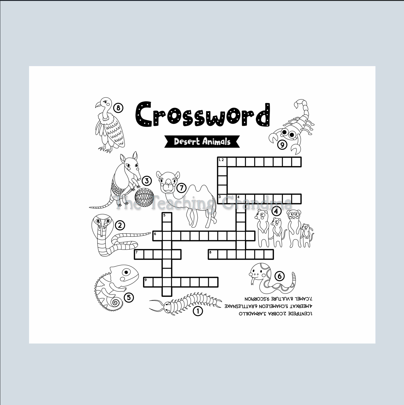 Crossword Puzzles